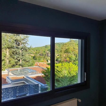 Studio Meuble Saint-Cyr-Au-Mont-D'Or Exteriér fotografie